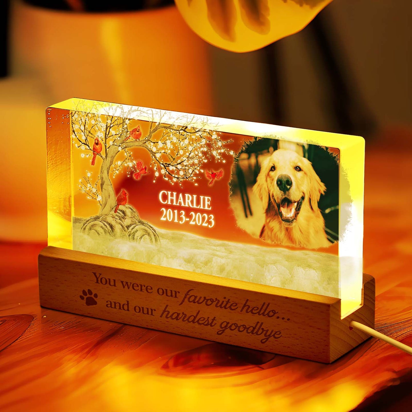 Personalised Pet Photo Night Light Custom Photo Light Memorial Gift for Pet Lover