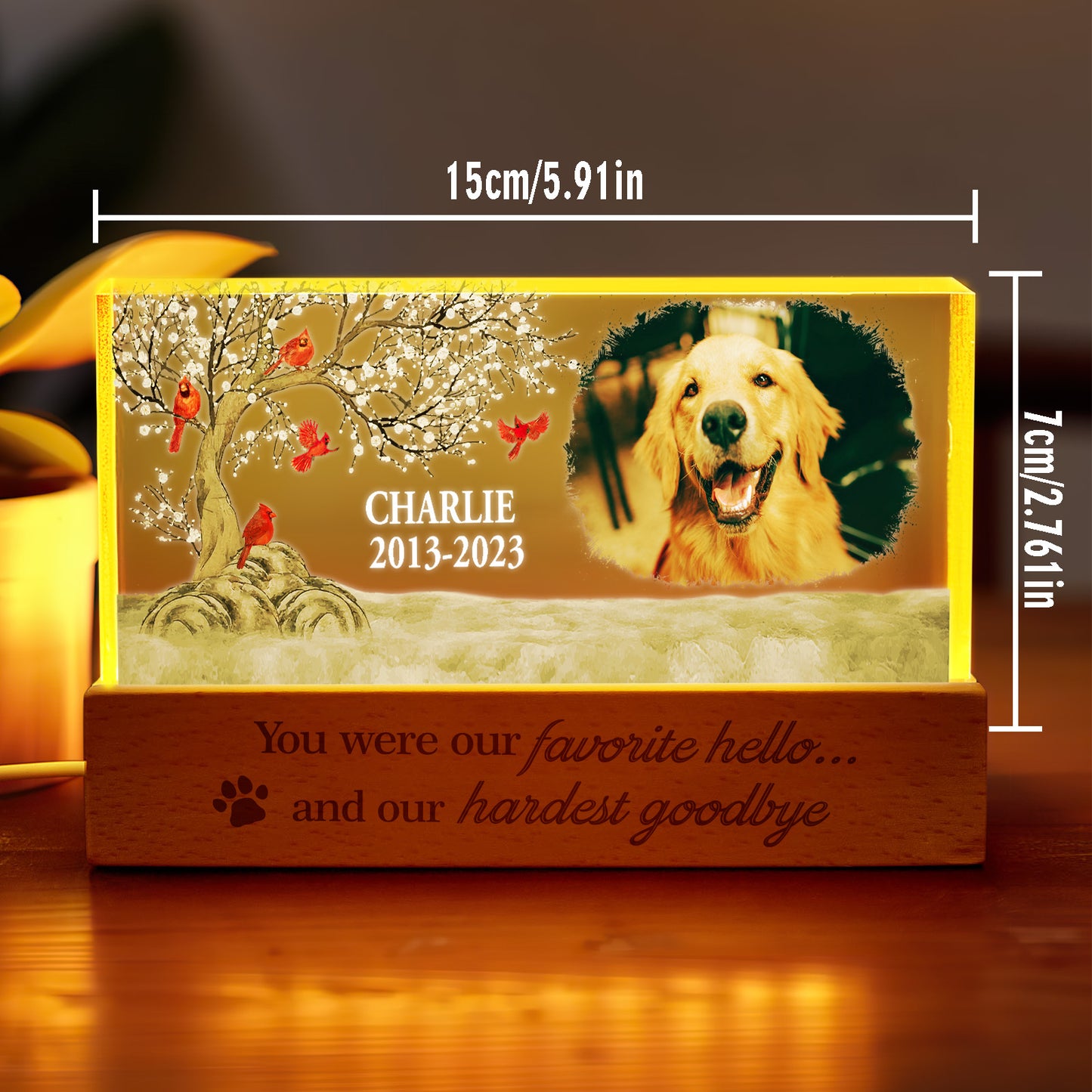 Personalised Pet Photo Night Light Custom Photo Light Memorial Gift for Pet Lover