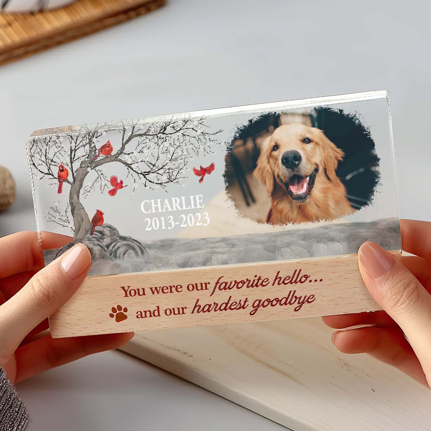 Personalised Pet Photo Night Light Custom Photo Light Memorial Gift for Pet Lover
